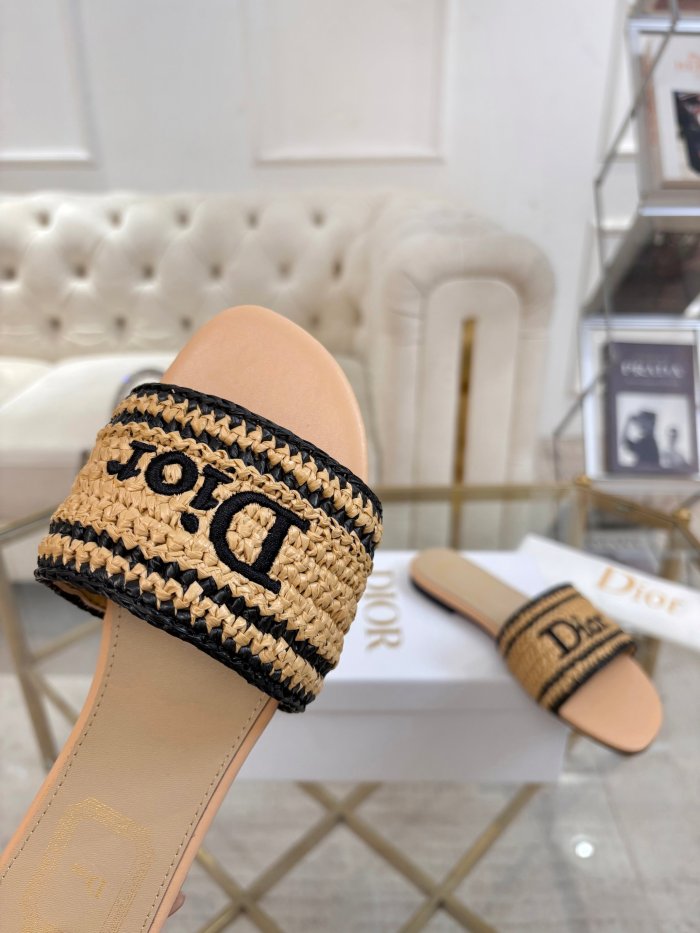 Dior shoes 068 HL051
