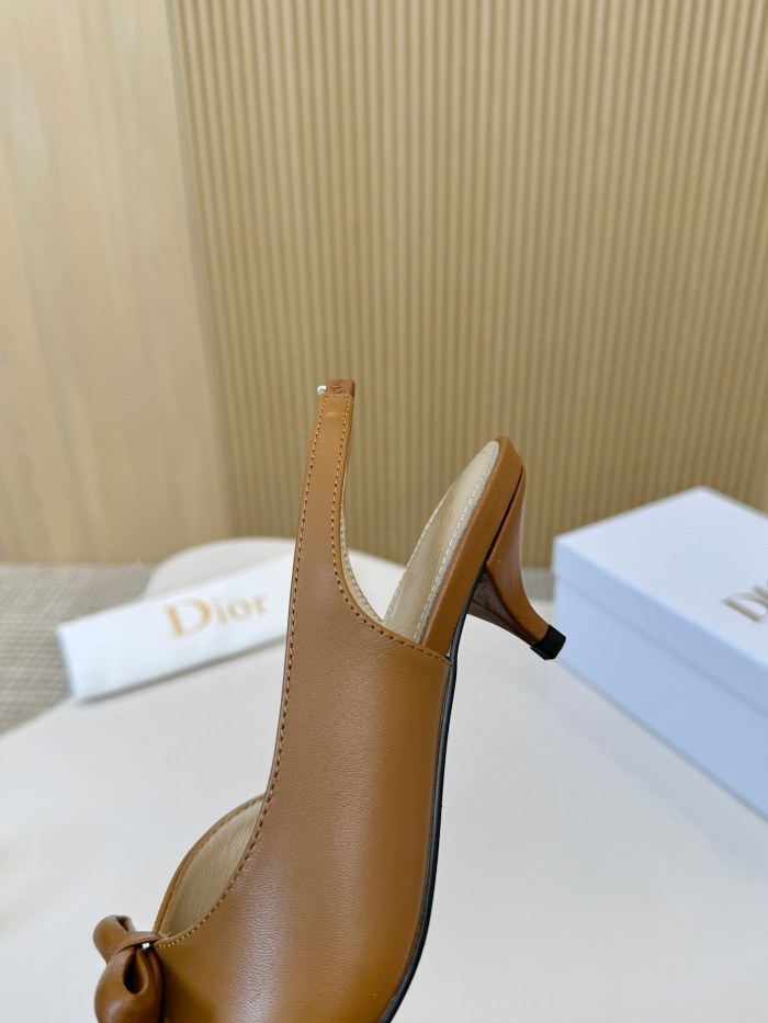 Dior shoes 060 HL072