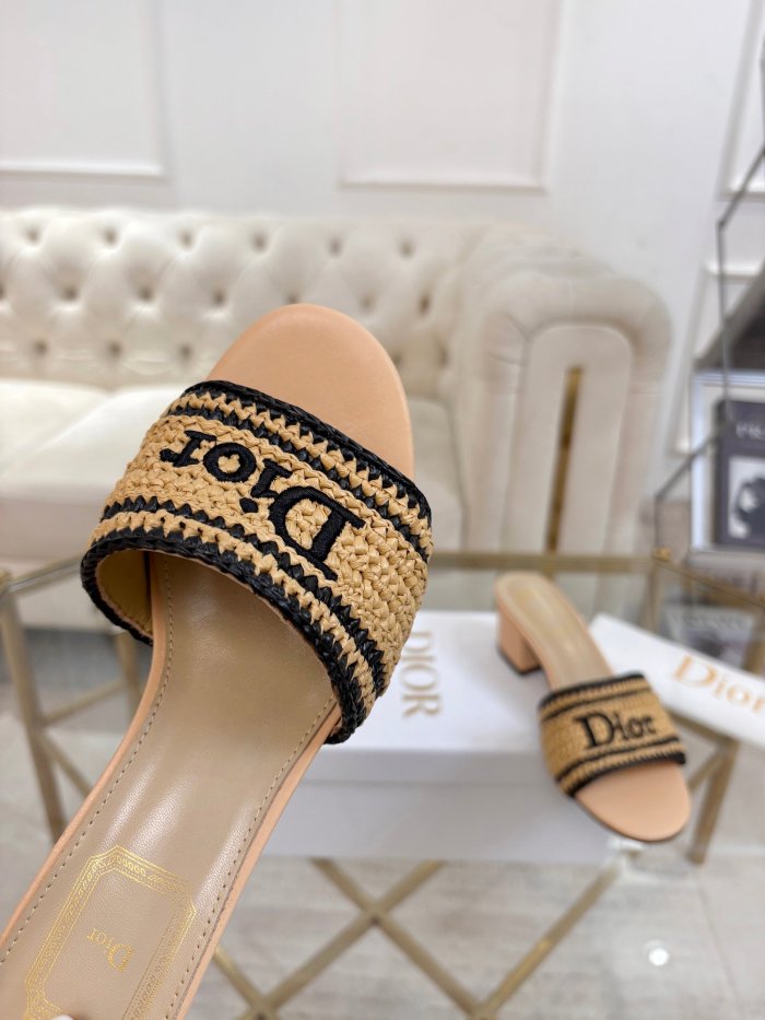 Dior shoes 069 HL081