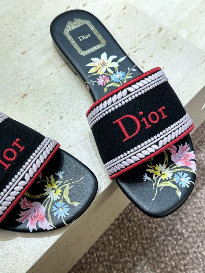 Dior shoes 066 HL051