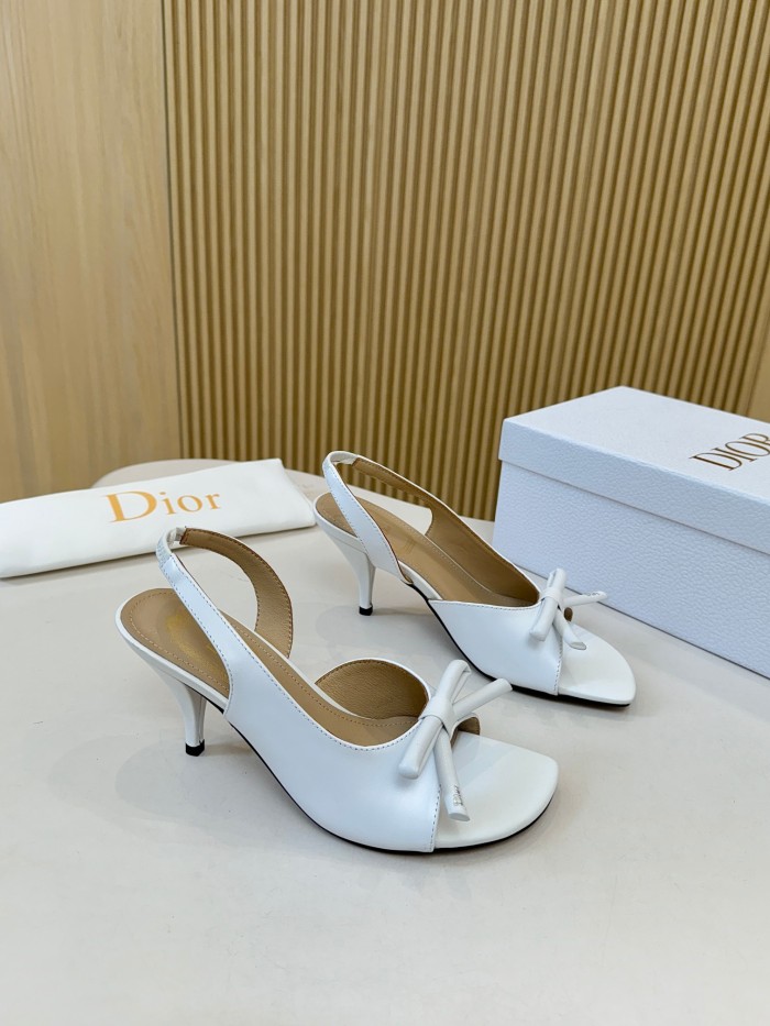 Dior shoes 061 HL072