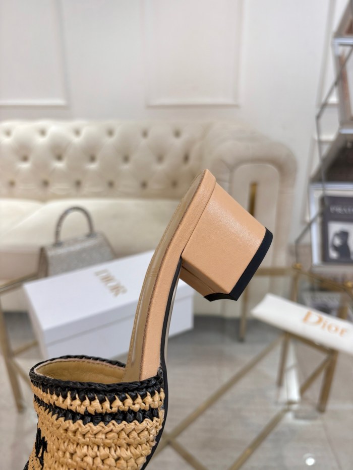 Dior shoes 069 HL081