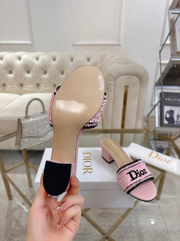 Dior shoes 069 HL081