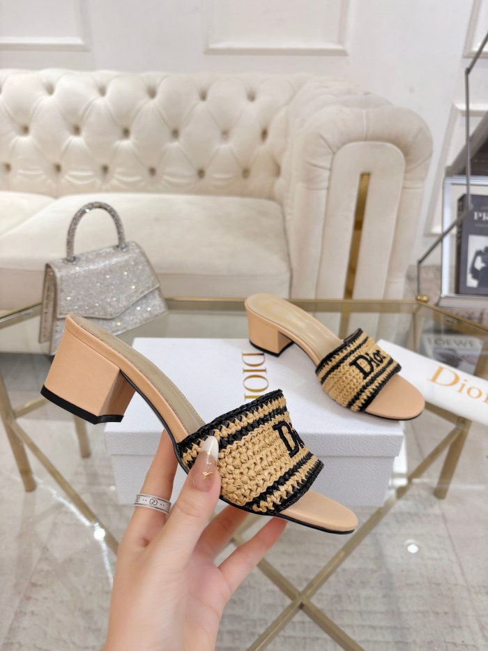 Dior shoes 069 HL081