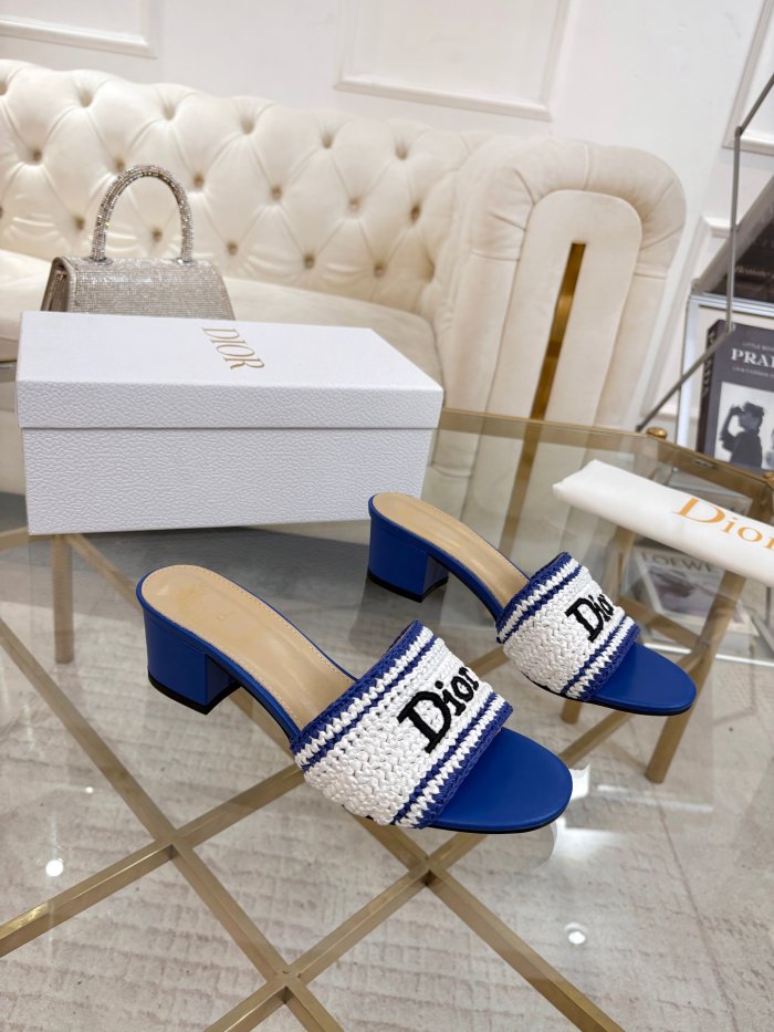 Dior shoes 069 HL081