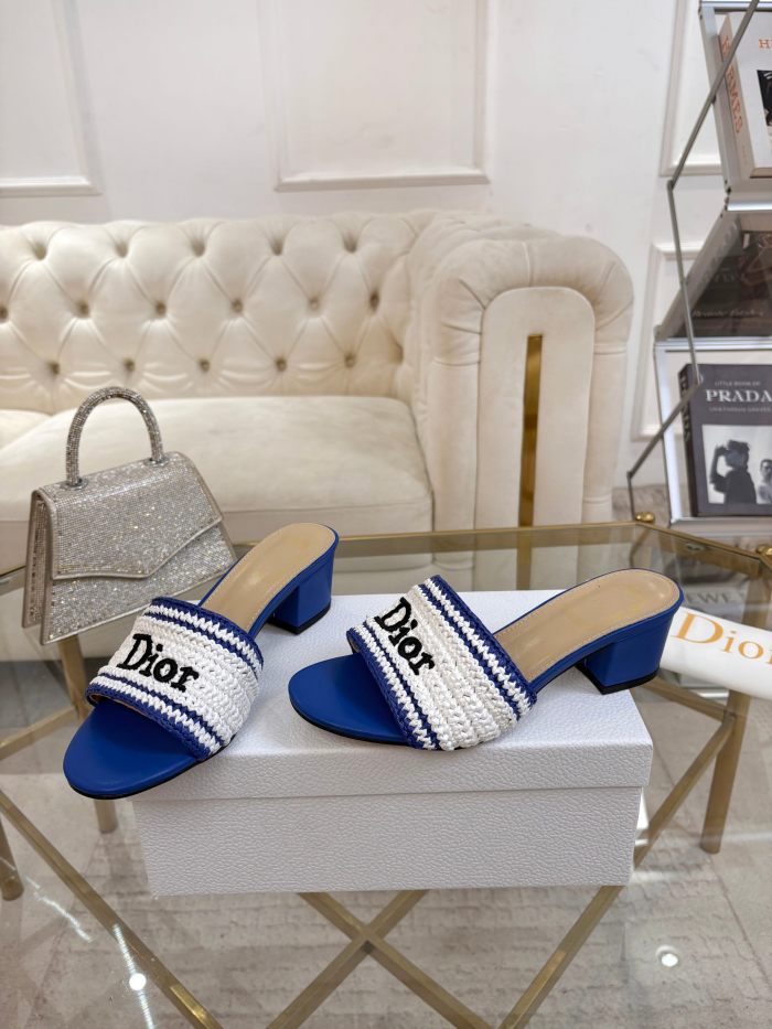 Dior shoes 069 HL081