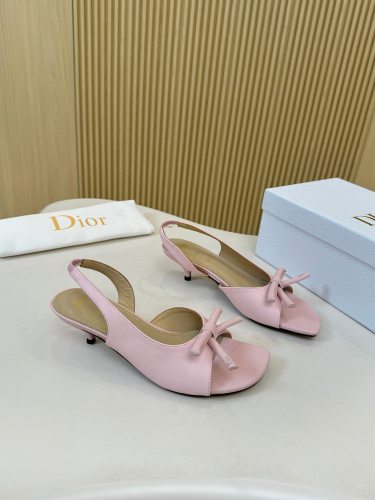 Dior shoes 060 HL072