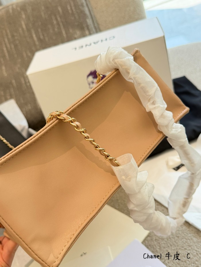 Chanel Tote 146 DB062 23cm
