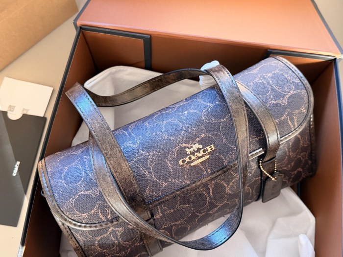 Coach Bridget Bag 024 DB002 31cm
