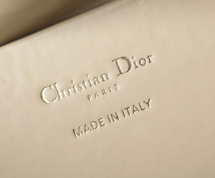 Dior Toujours Bag 001 YD039 23cm