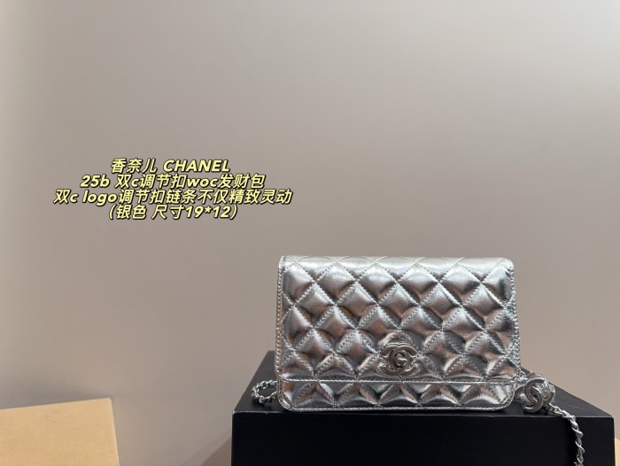 Chanel Chain Purse 155 DB081 19cm