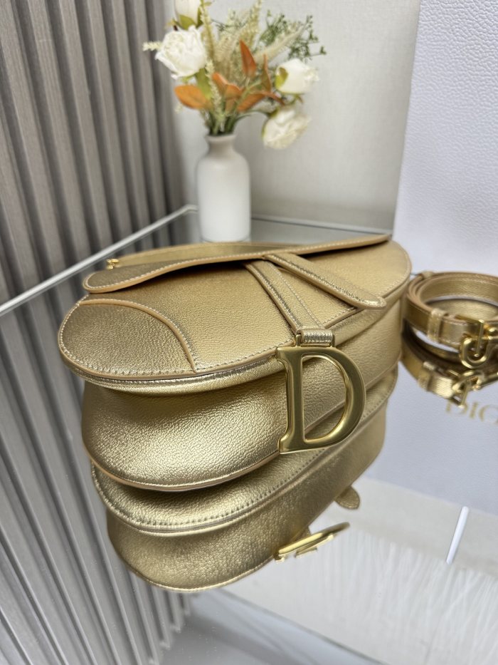 Dior Saddle Bag 0455 YD036 25.5cm