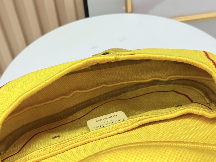 Dior Saddle Bag 9930 YD065 24cm