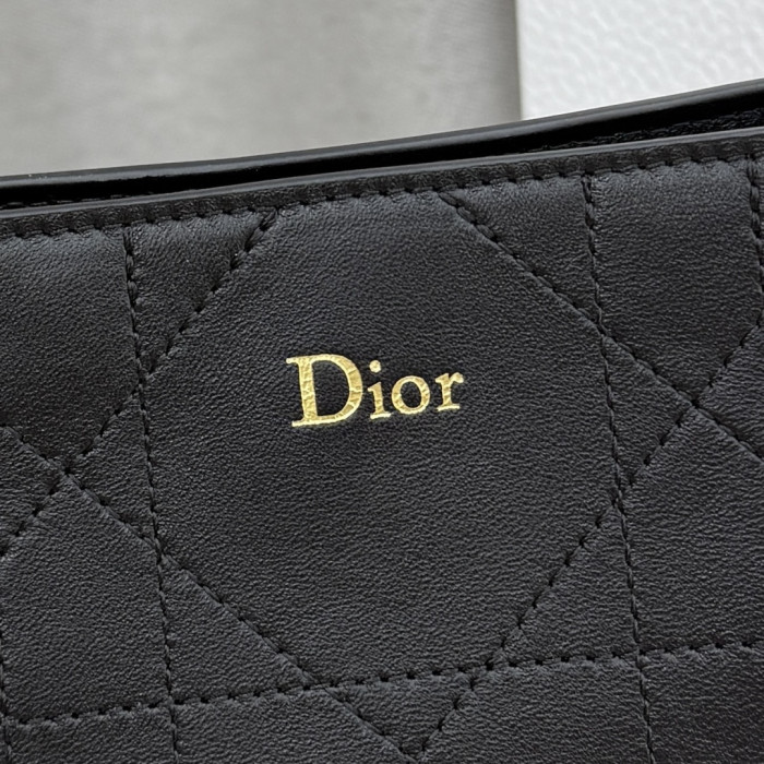 Dior Trianon Bag M0719 YD025 25cm