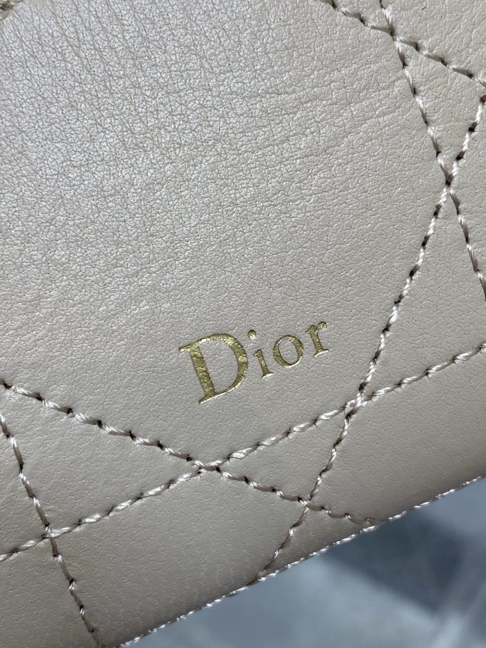 Dior Trianon Soft Vanity Bag S4613 YD085 19cm