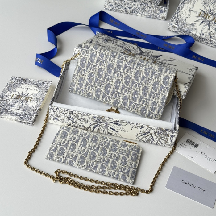 Dior Saddle Woc Chain Bag S5614 YD083 19cm