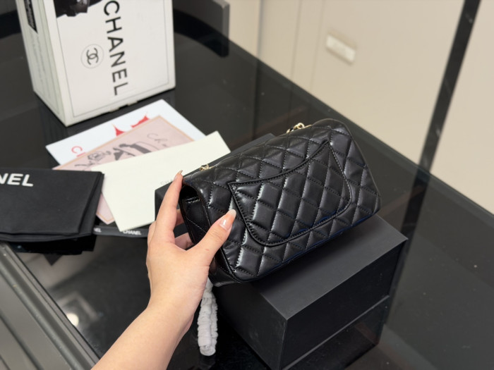 Chanel Classic Flap Mini Bag 167 DB581 20cm