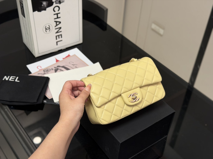 Chanel Classic Flap Mini Bag 167 DB581 20cm