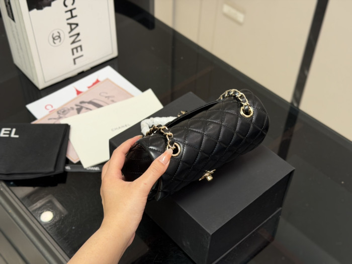 Chanel Classic Flap Mini Bag 167 DB581 20cm