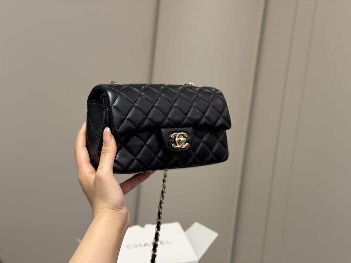 Chanel Classic Flap Mini Bag 167 DB581 20cm