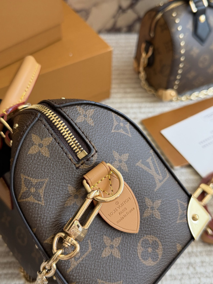LV Nano Speedy Bag 380 DB522 20cm