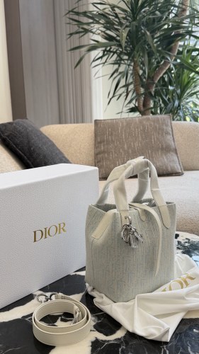 Dior Toujours Bag 040 DB542 21cm