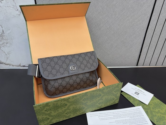Gucci Ophidia Bumbag 060 DB511 24cm