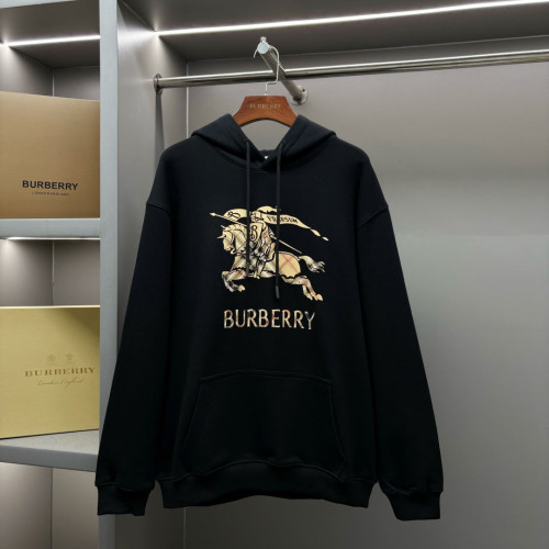 Burberry Sweatshirts 007