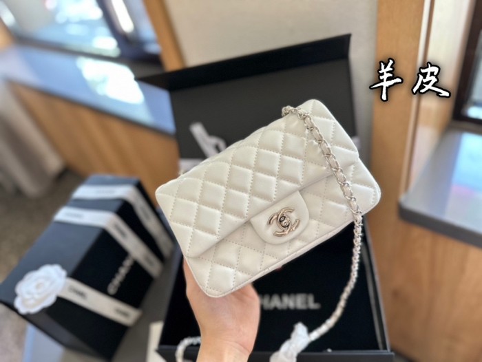 Chanel Classic Flap Mini Bag 221 DB551 20cm