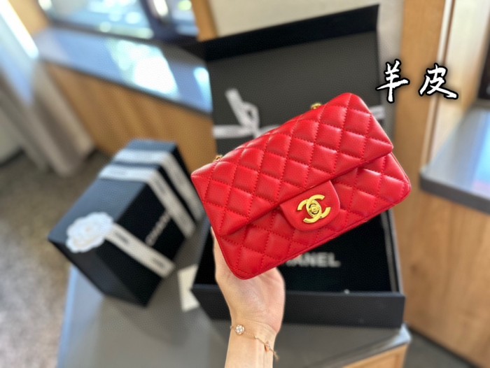 Chanel Classic Flap Mini Bag 221 DB551 20cm