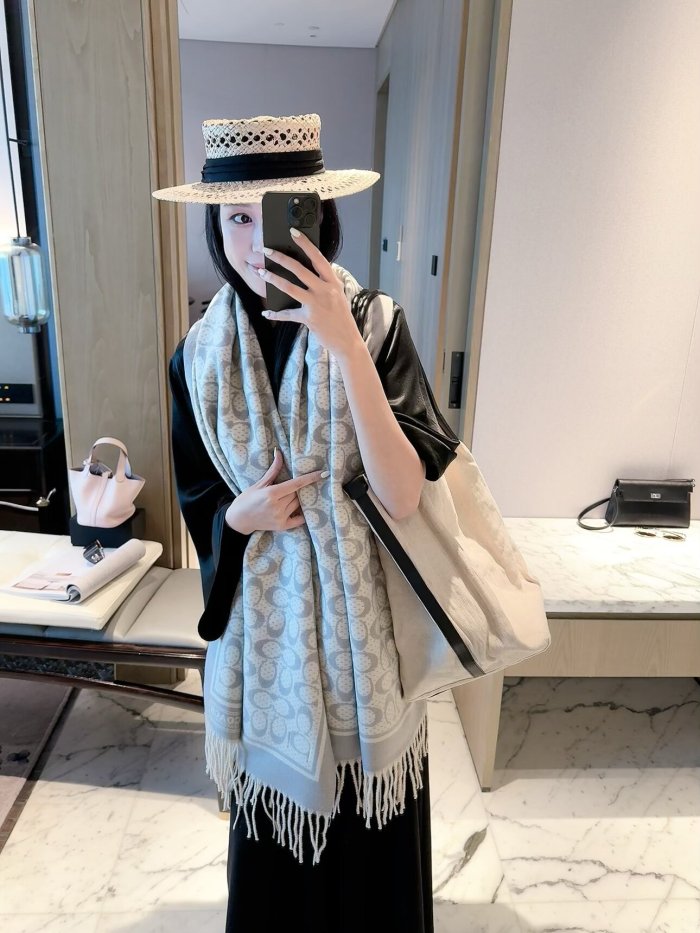 Coach Scarf 001 180*60cm