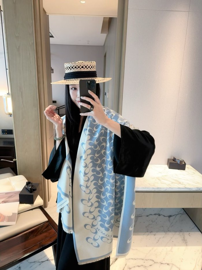 Coach Scarf 002 180*60cm