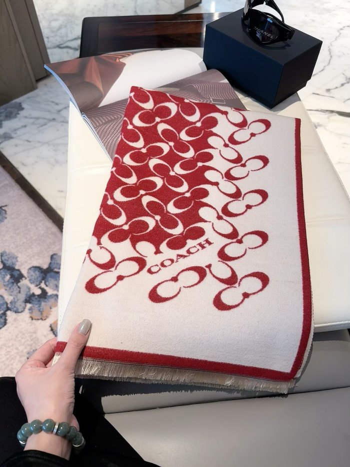 Coach Scarf 002 180*60cm