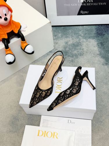 Dior shoes 015 HL003