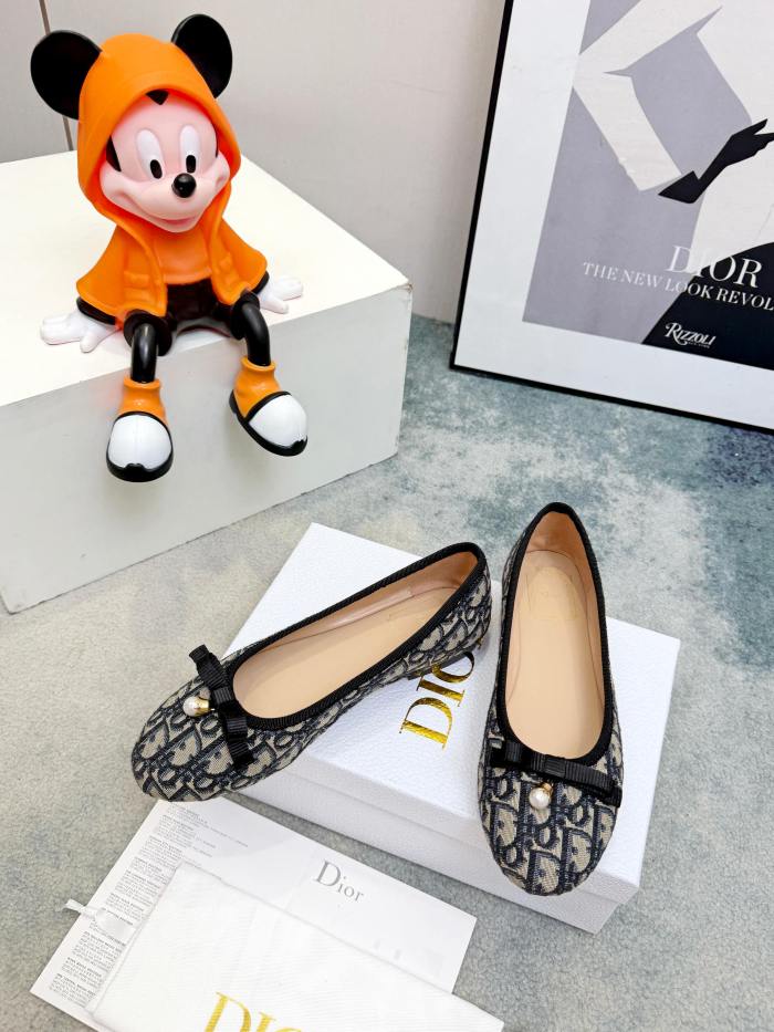Dior shoes 038 HL062