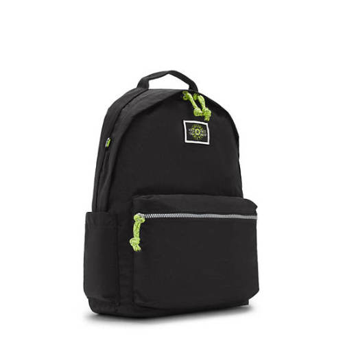 Damien Large / Laptop Backpack