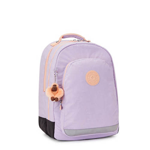 Class Room / 17  Laptop Backpack