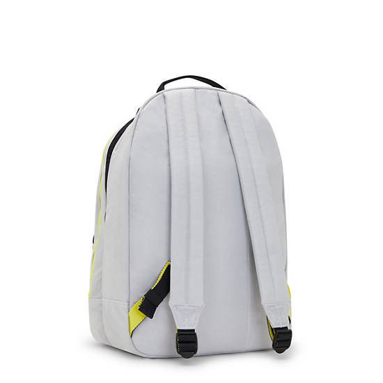 Curtis Extra Large / 17  Laptop Backpack