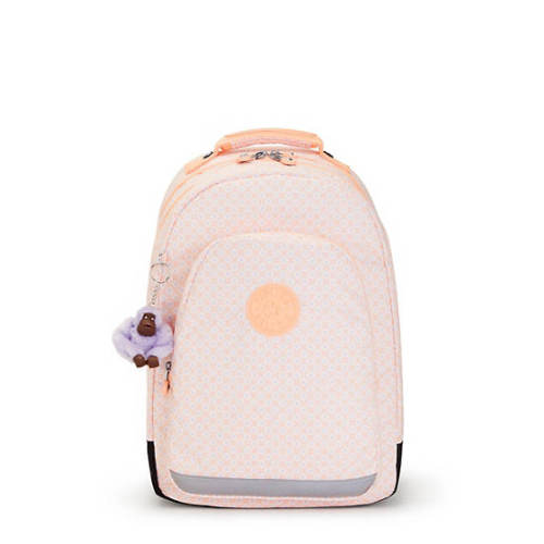 Class Room / Printed 17  Laptop Backpack