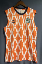 2023 Cote d'Ivoire Yellow Fans Soccer Jersey