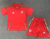 2024 Wales European Cup Home Kids Soccer Jersey