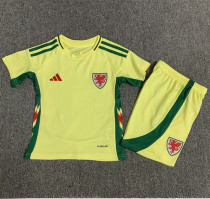 2024 Wales European Cup Away Kids Soccer Jersey