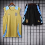 24-25 Argentina High quality Tank Top And Shorts Suit