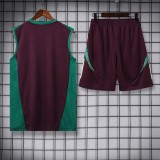 24-25 Mexico High Quality Tank Top And Shorts Suit