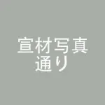 【戦闘版ボディ】 Linqiu ヘッド & 167cm F-cup フルシリコン製ラブドール  Sino-doll 宣材写真はノーマルメイク