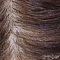 ブラウン-植毛（硬質シリコンヘッド限定）