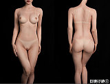 【新作】GD13ヘッド ＆ 142cm AAカップ ロり系 中学生 等身大リアルドール シリコンドール waxdoll