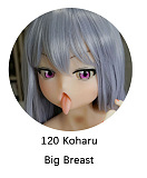 Doll House 168 (IROKEBIJIN色気美人) TPE製 ヘッド単体 頭のみ アニメ系ロリー系 ミニラブドール