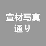 【A工場】R111ヘッド & 168cm Cカップ 姉さん 教師派 リアルドール 等身大ラブドール フルシリコン製 realgirl
