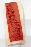 【歌手デビュー】#23酷惠奈ヘッド & 156cm Eカップ ロり系 フルシリコン製ラブドール フェイシャルEX機能選択可 Sanhuidoll
